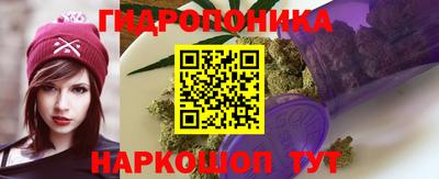PSILOCYBIN Гусиноозёрск